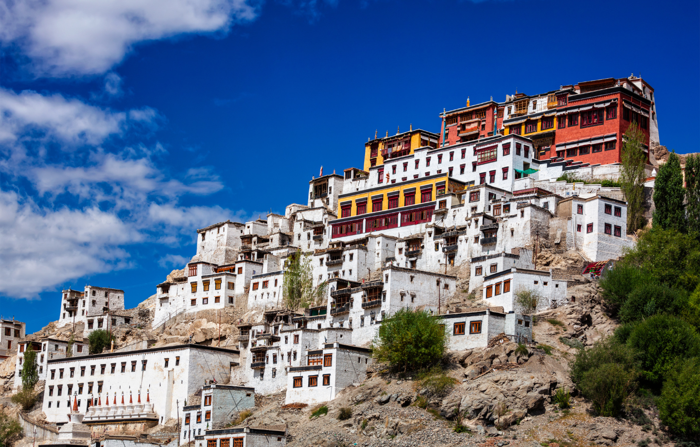 Ladakh Tour Packages – Ultimate Guide to Leh, Nubra & Pangong